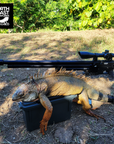 Green Iguana Hunting Adventures – Full-Day Hunt
