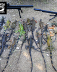 Green Iguana Hunting Adventures – Full-Day Hunt
