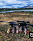 Green Iguana Hunting Adventures – Full-Day Hunt