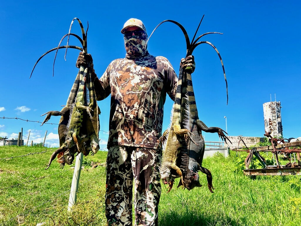 Green Iguana Hunting – Half Day Adventure